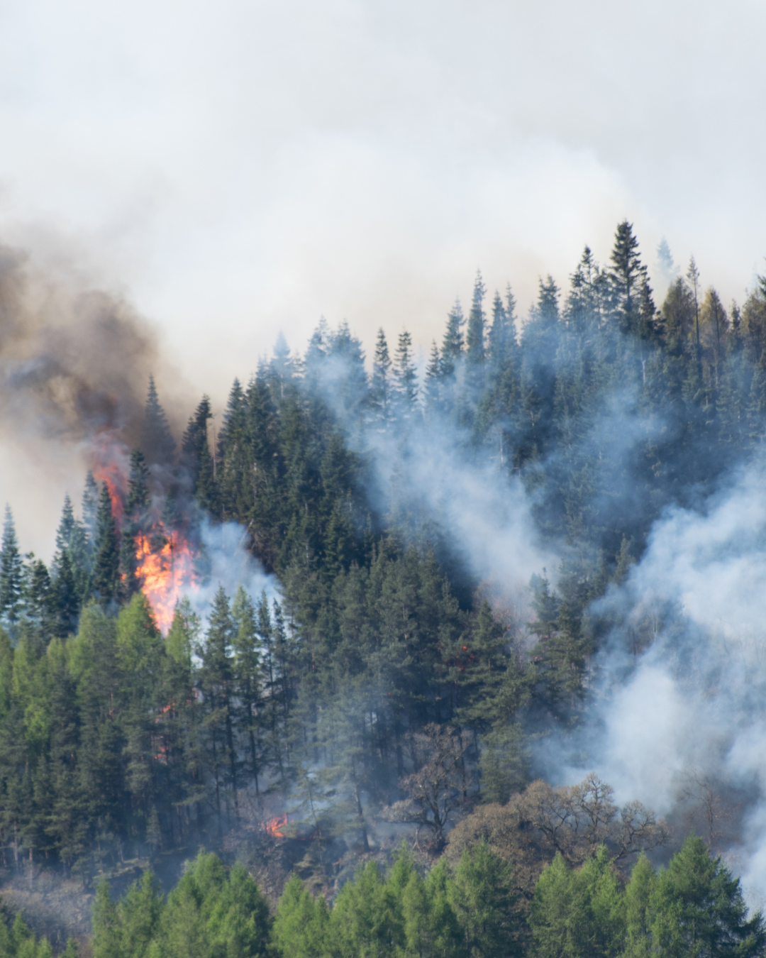 Control de incendios