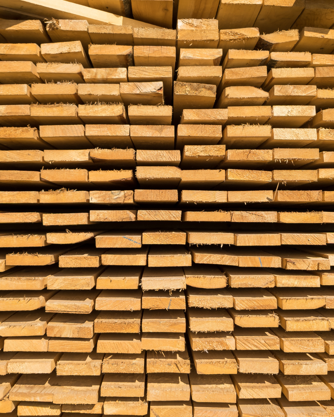 Soluciones para la madera aserrada